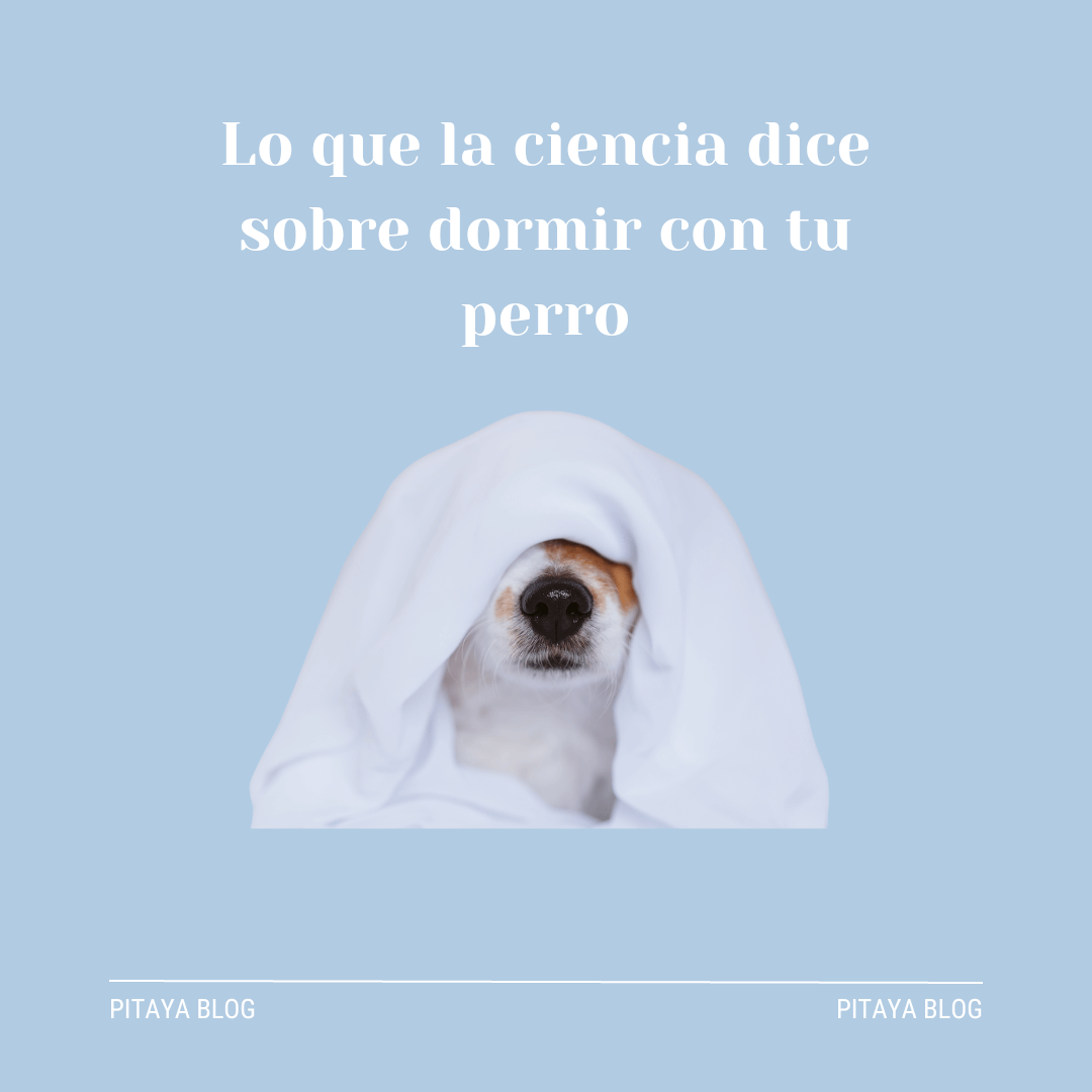 Lo que la ciencia dice sobre dormir con tu perro