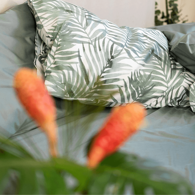 Juego básico de sábanas